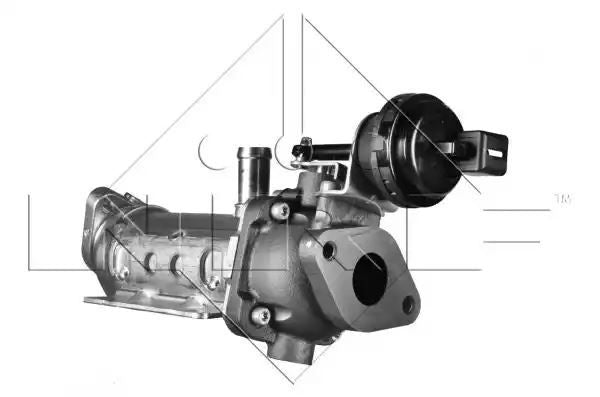 CHŁODNICA ZAWORU EGR RENAULT TRAFIC II 2,0DCI NRF 48011