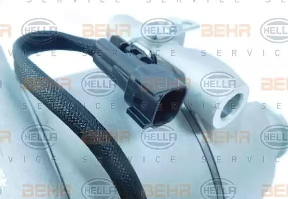 Sprężarka klimatyzacji Ford Hella 8FK351113941