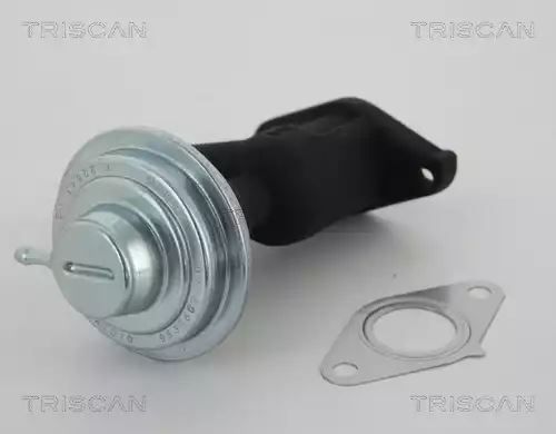ZAWÓR EGR CITROEN 2,0HDI C5 307/406/607 Triscan 881328006