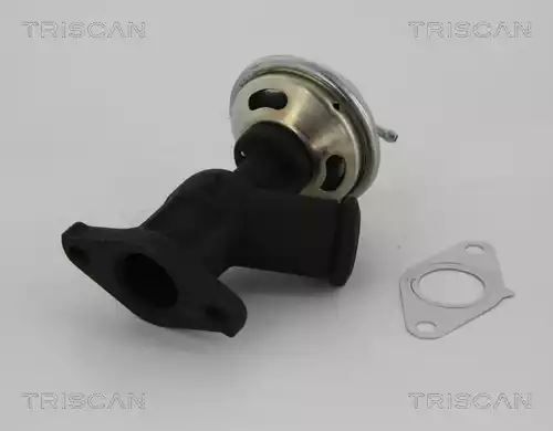 ZAWÓR EGR CITROEN 2,0HDI C5 307/406/607 Triscan 881328006