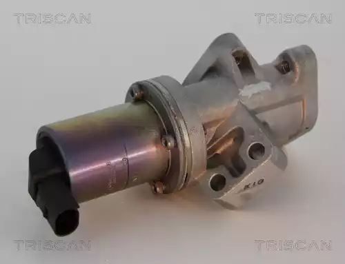 ZAWÓR EGR HYUNDAI 2,5CRDI SORENTO/H-1 Triscan 881343024
