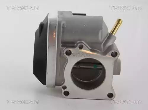 PRZEPUSTNICA SKODA FABIA 1,2 03- Triscan 882029001