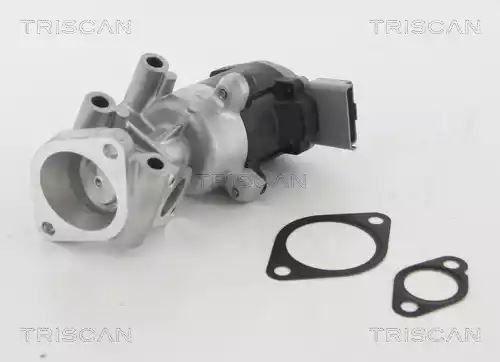 ZAWÓR EGR CITROEN 2,7HDI PEUGEOT/LAND ROVER Triscan 881310009