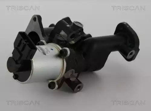 ZAWÓR EGR OPEL ASTRA H 1,7CDTI 04- Triscan 881324101