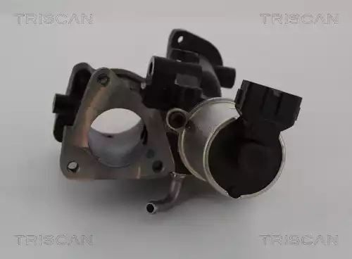 ZAWÓR EGR OPEL ASTRA H 1,7CDTI 04- Triscan 881324101