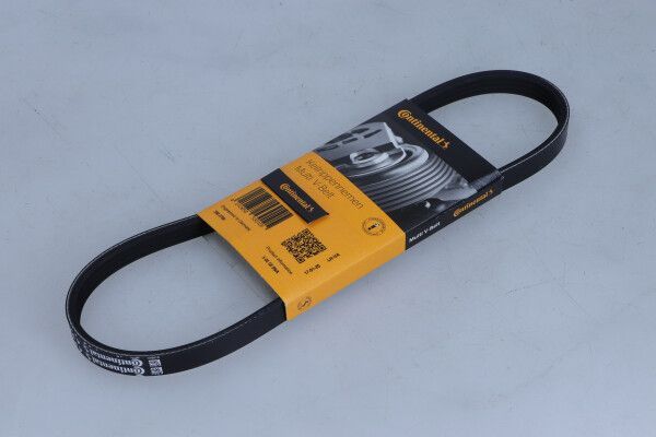 Pasek wielorowkowy 4PK665 ContiTech 4PK665