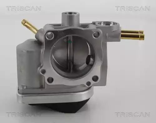 PRZEPUSTNICA VW PASSAT 1,6 09- Triscan 882029005