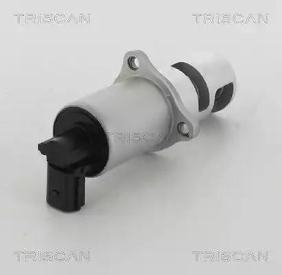 ZAWÓR EGR RENAULT 1,9DCI MEGANE II Triscan 881310100