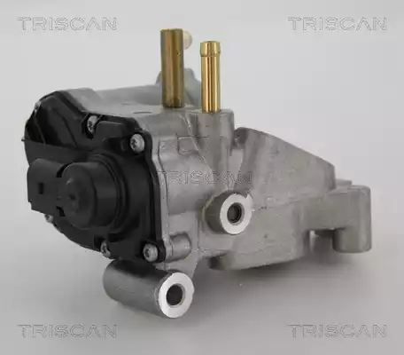 ZAWÓR EGR RENAULT 3,0DCI MASTER II/MASCOTT OPEL MOVANO Triscan 881325018