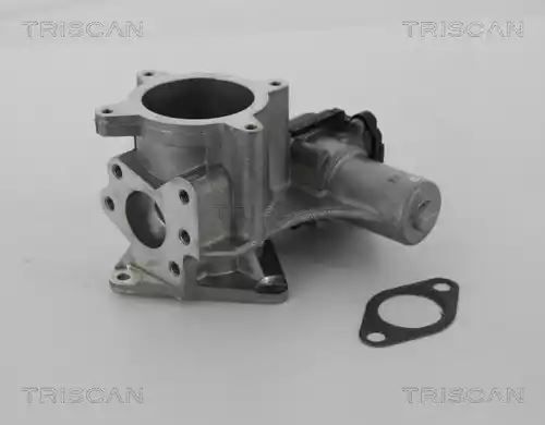 ZAWÓR EGR VW 2,5TDI T5 CRAFTER 2,5TDI Triscan 881329105