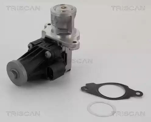 ZAWÓR EGR FIAT 1,3M-JET Triscan 881310004