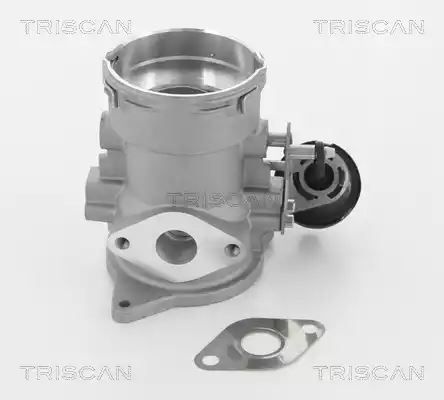 ZAWÓR EGR VW 2,5TDI T5 Triscan 881329056