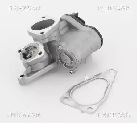 ZAWÓR EGR RENAULT 1,9DCI MEGANE II/SCENIC II Triscan 881325201