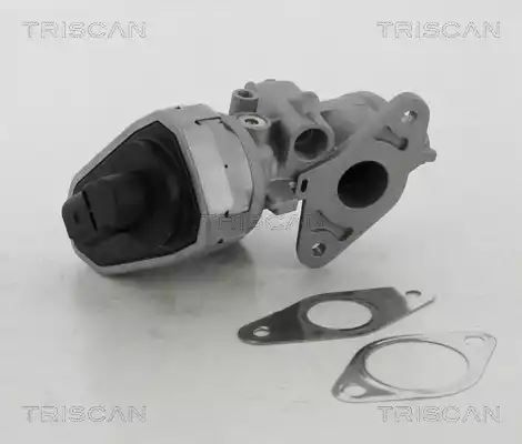 ZAWÓR EGR FIAT 2,2M-JET CITROEN 2,2HDI Triscan 881310002