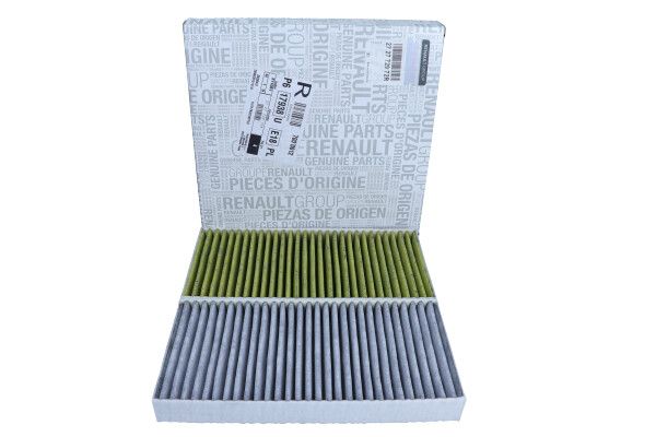 FILTR KABINY RENAULT LAGUNA ANTYALERGICZNY Renault-Nissan Alliance 272772972R
