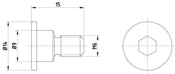 KPL=2SZT!!!! ŚRUBA TARCZY HAM. DB P./T. W124/W126/W140/W202/W222 79- Textar TPM0001