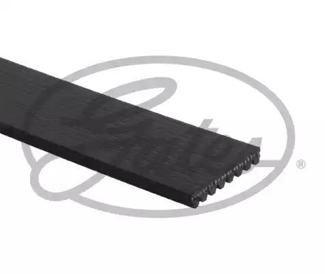 PASEK WIELOROWKOWY 8PK1295 MAZDA Gates 8PK1295XS