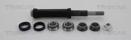 ZESTAW NAPR. WAHACZA CITROEN T. C5 1,6-3,0 LE/PR Triscan 850038401