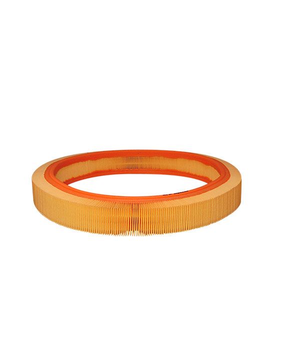 FILTR POWIETRZA Filtron AR036