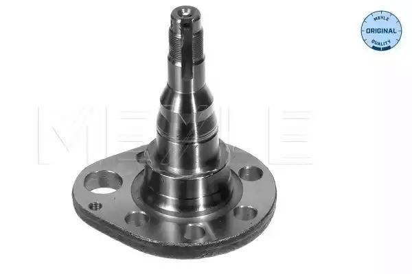 CZOP PIASTY TYŁ VW PASSAT POLO PR 94- MEYLE 1005010036