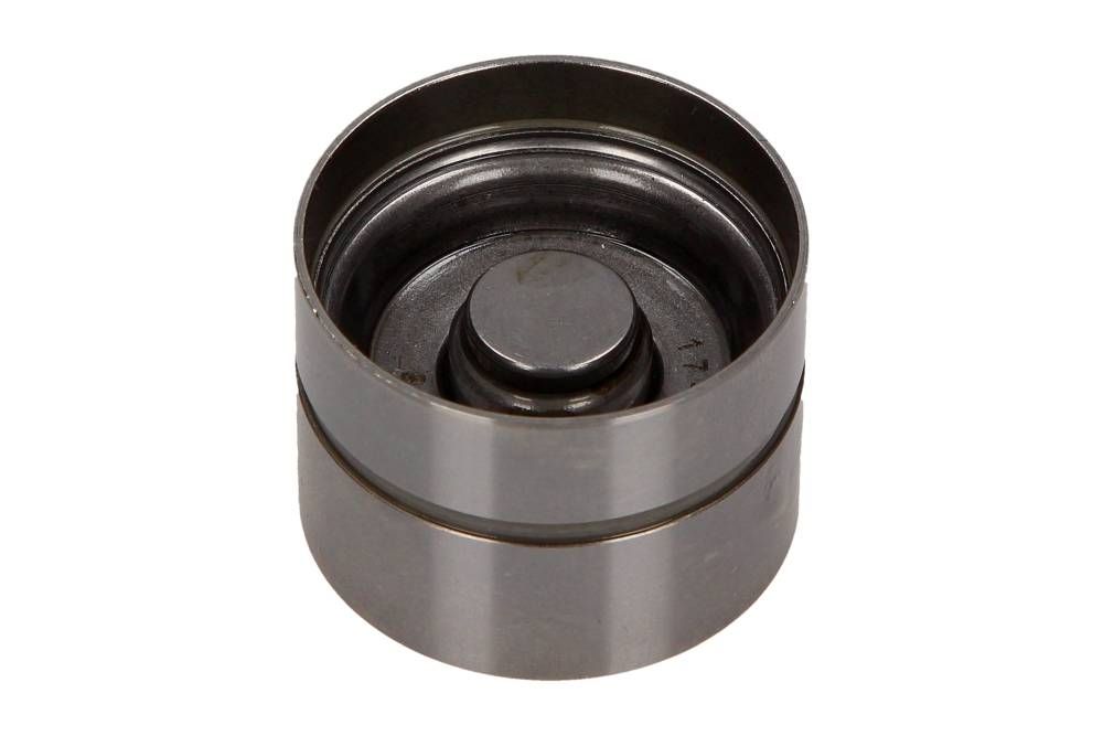 POPYCHACZ ZAWORU VW 00- MaXgear 17-0054