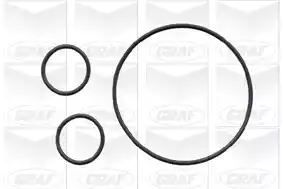 Pompa wody Renault 2,5TD SAFRANE 93-96 <B54> GrafPA503