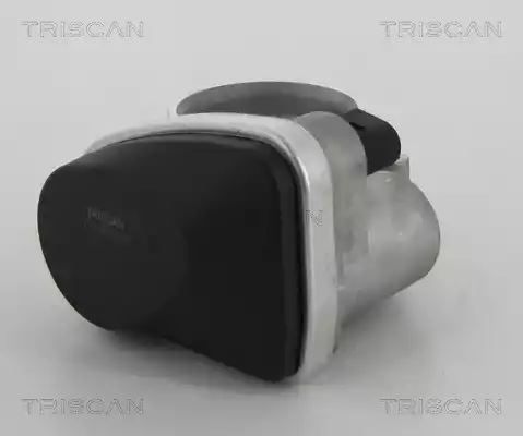PRZEPUSTNICA BMW 3 E91 1,8 06- Triscan 882011001