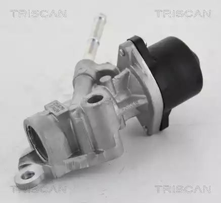 ZAWÓR EGR TOYOTA 1,33 VVT-I AURIS/COROLLA Triscan 881313025