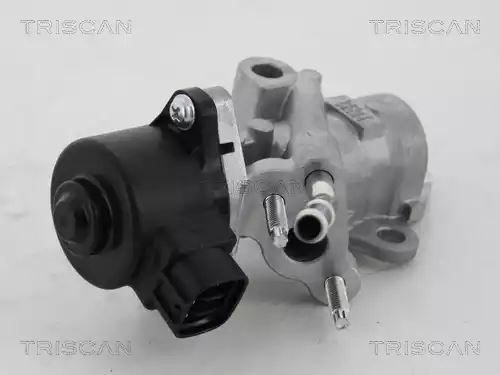 ZAWÓR EGR TOYOTA 1,33 VVT-I AURIS/COROLLA Triscan 881313025