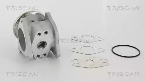 ZAWÓR EGR VW 1,9TDI/2,0TDI Triscan 881329111