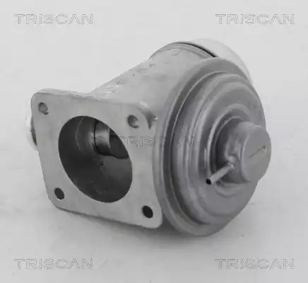 ZAWÓR EGR BMW 3,0D E46/E60 X5 Triscan 881311102