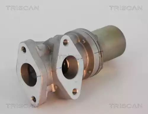 ZAWÓR EGR HYUNDAI 2,5CRDI SORENTO/H-1 Triscan 881343024