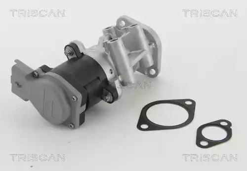ZAWÓR EGR CITROEN 2,7HDI PEUGEOT/LAND ROVER Triscan 881310009