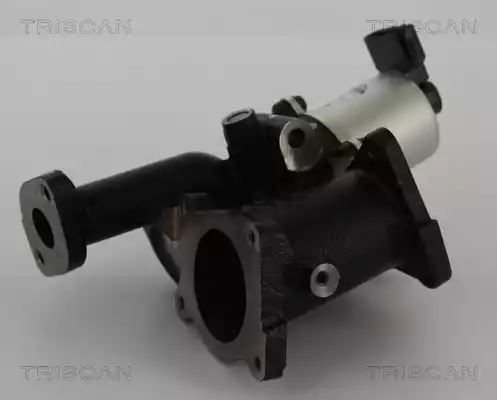 ZAWÓR EGR OPEL ASTRA H 1,7CDTI 04- Triscan 881324101