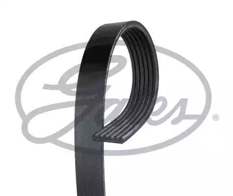 PASEK WIELOROWKOWY 6PK1010 Gates 6PK1010