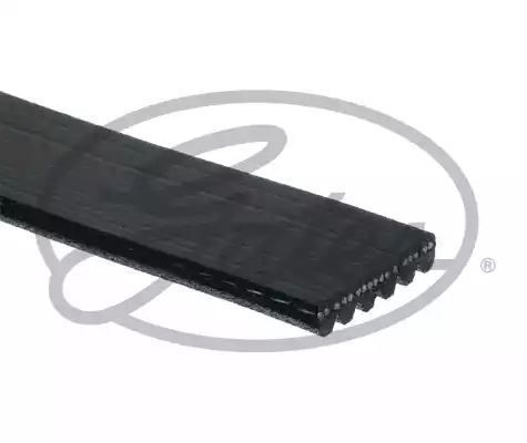 PASEK WIELOROWKOWY 6PK1623 Gates 6PK1623