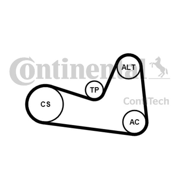ZESTAW PASKA WIELOROWK. RENAULT 1,4/1,6 ContiTech 6PK1200K1
