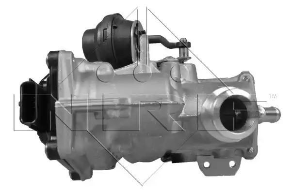 ZAWÓR EGR RENAULT 1,9DCI MEGANE III/SCENIC III (MODUŁ) NRF 48207