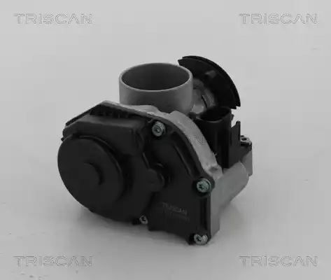 PRZEPUSTNICA VW POLO 1,4 16V 99- Triscan 882029010