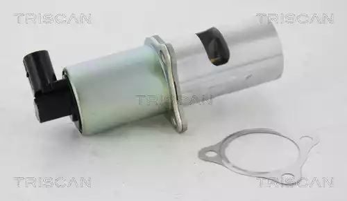 ZAWÓR EGR RENAULT 1,9DCI MEGANE II Triscan 881310100