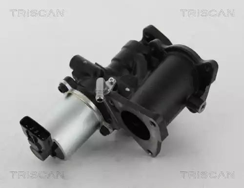 ZAWÓR EGR OPEL 1,7CDTI ASTRA G/MERIVA Triscan 881324022
