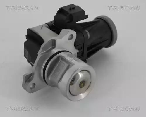 ZAWÓR EGR CITROEN 1,6HDI Triscan 881328005
