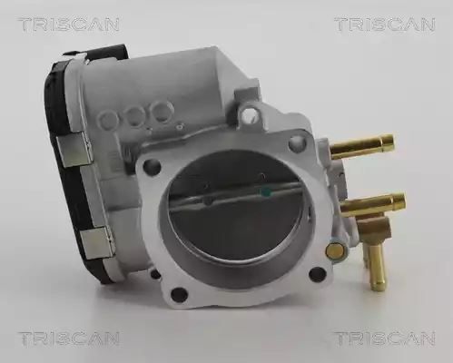 PRZEPUSTNICA VW PASSAT 2,4 96- Triscan 882029009