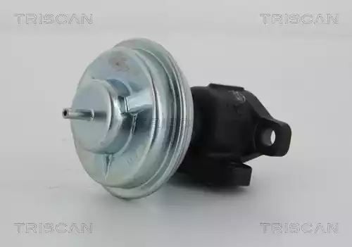 ZAWÓR EGR HYUNDAI 2,0CRDI SANTA FE/ELANTRA Triscan 881343005