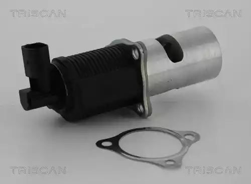 ZAWÓR EGR RENAULT 2,2DCI LAGUNA II/ESPACE IV Triscan 881324055