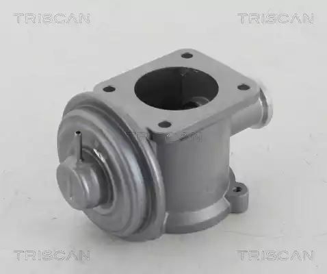 ZAWÓR EGR BMW 2,0D/3,0D E87/E90/E60 X3/X5 Triscan 881311003