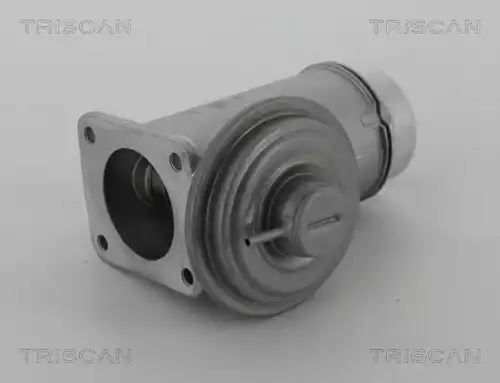 ZAWÓR EGR BMW 2,0D/3,0D E87/E90/E60 X3/X5 Triscan 881311005