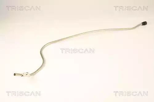 PROWADNICA LINKI HAM. CITROEN C5 01- LE Triscan 814038920