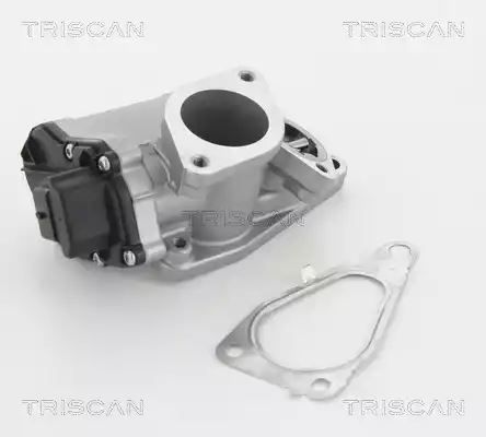 ZAWÓR EGR RENAULT 1,9DCI MEGANE II/SCENIC II Triscan 881325201
