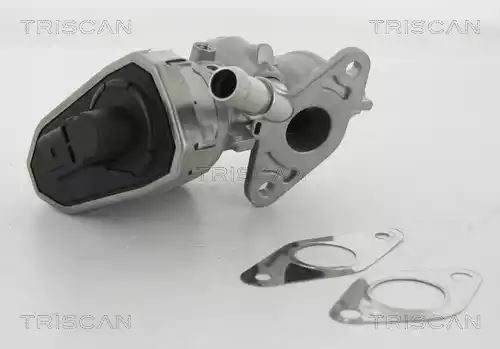 ZAWÓR EGR FORD 2,2TDCI/2,4TDCI/3,2TDCI TRANSIT Triscan 881316100